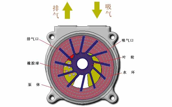 水環(huán)真空泵，水環(huán)式真空泵工作原理