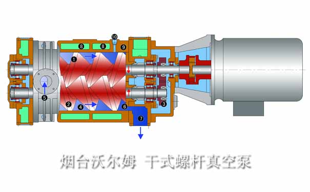 煙臺(tái)沃爾姆干式螺桿真空泵圖片